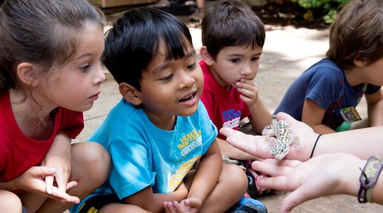 Children enjoy camp at Zoo Atlanta.