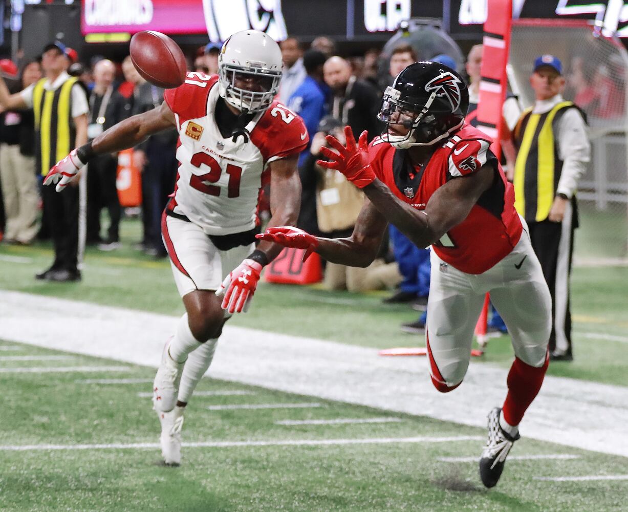 falcons