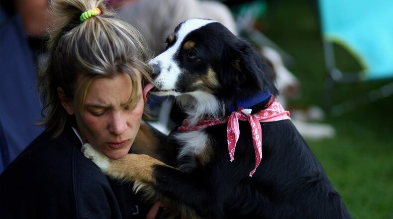A dog licks the face of the owner during the Butch Cassidy Cup 2009, the German dog frisbee German championship, on August 29, 2009 in Karlsruhe, Germany.
