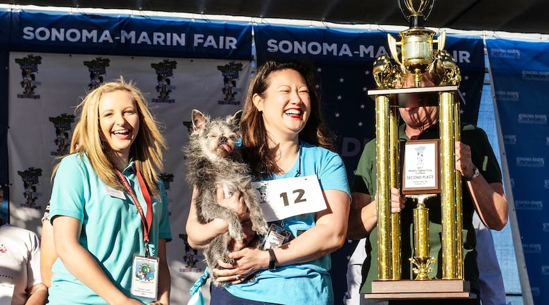 The 2018 World's Ugliest Dog Contest is happening Saturday, June 21st at the Sonoma-Marin Fair.