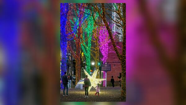 Blue, orange, green, yellow and purple light blubs are seen wrapped around several trees at the Margaret Mitchell House in 2023 as part of Midtown Bright. That site at Peachtree Street and 10th Street was not included in the display this year due to budget reasons, officials said. (Courtesy of Midtown Alliance)