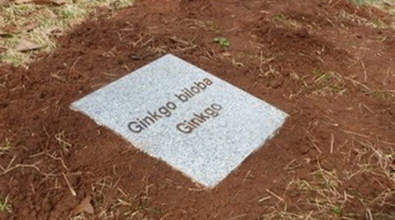 The Avondale Estates Arboretum Board gives updates on granite markers. CONTRIBUTED