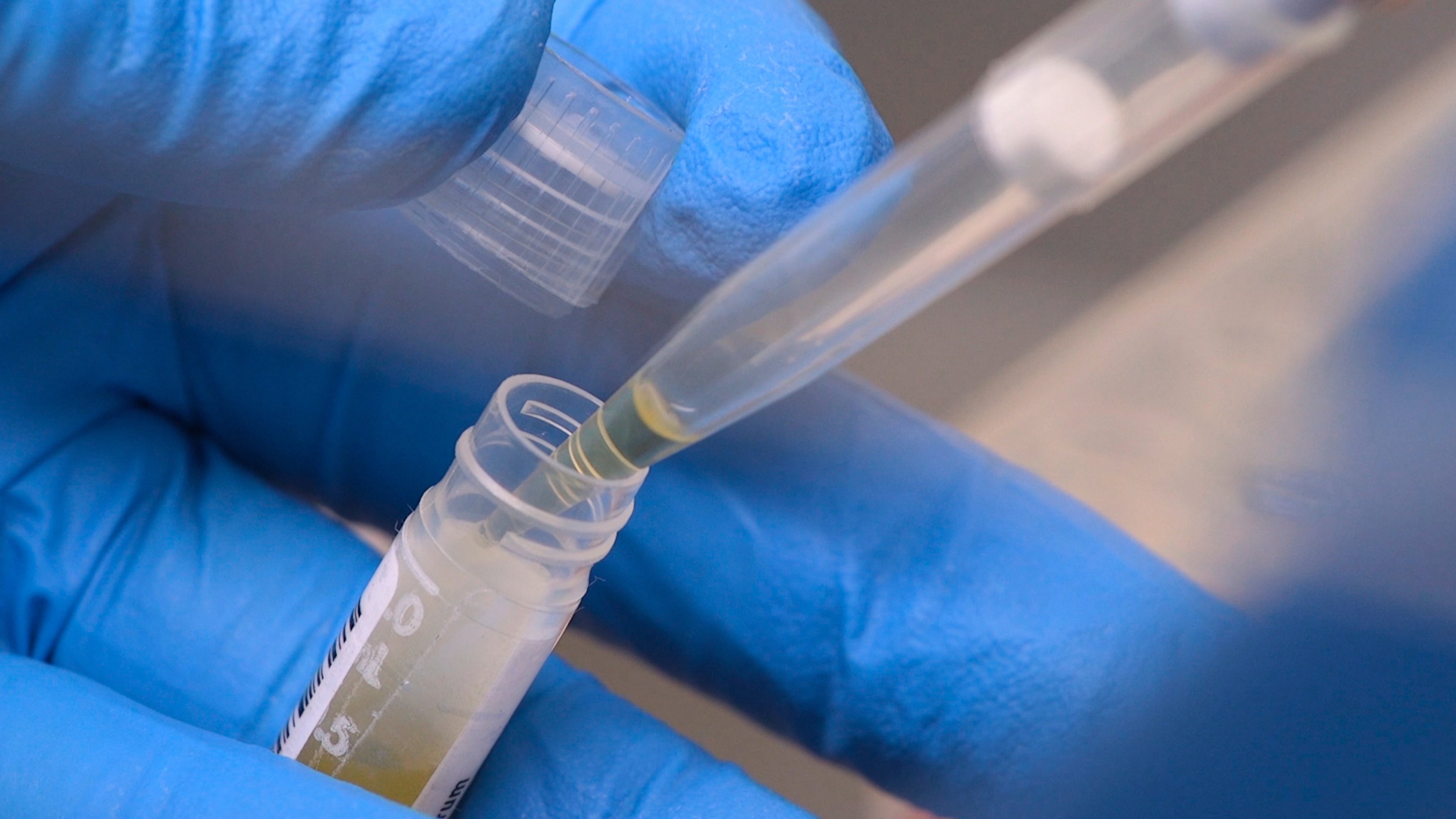 FILE - National Institute of Health researchers test patient samples in Bethesda, Md., on Nov. 20, 2019. (AP Photo/Federica Narancio, File)