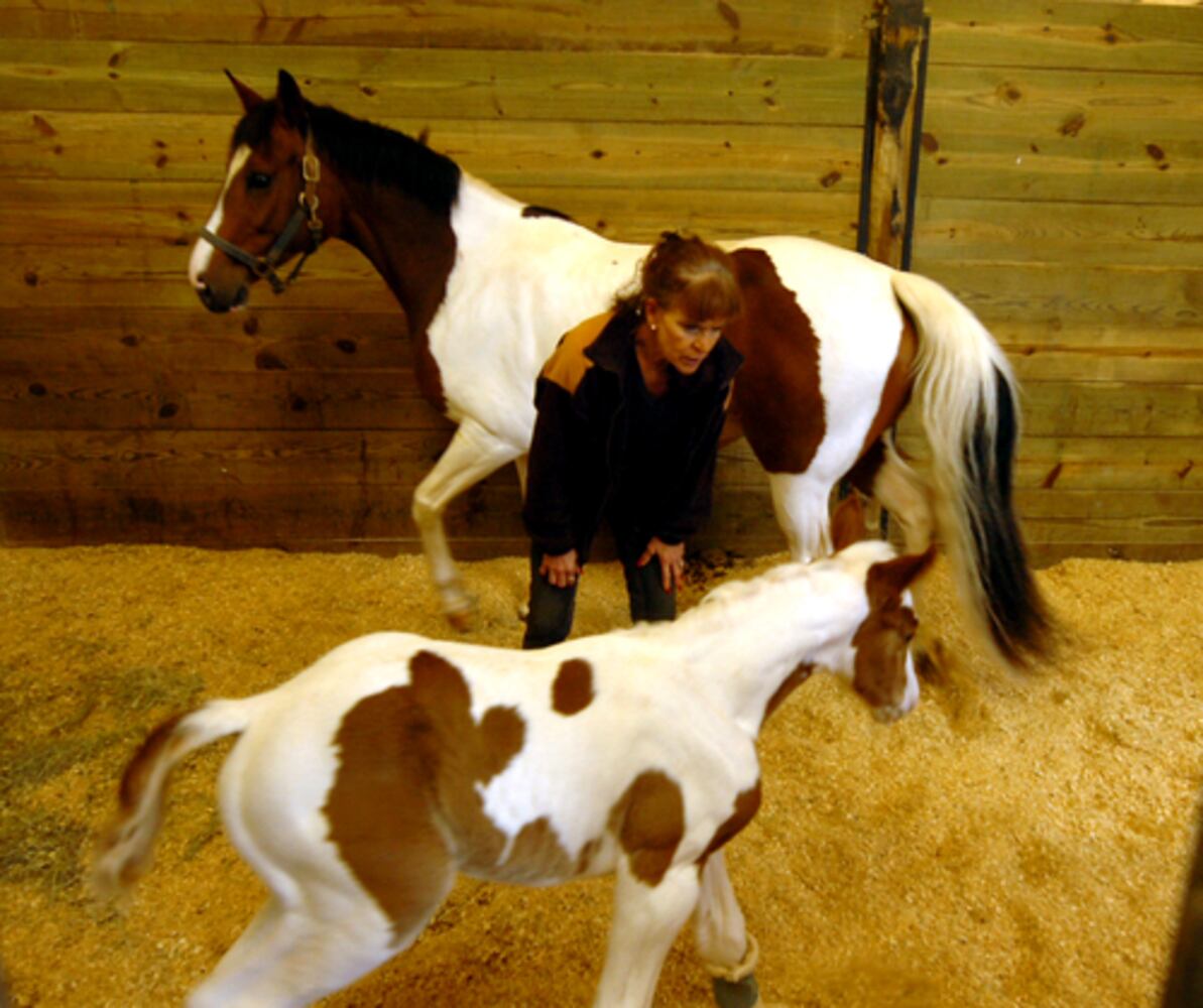 Life goes on at Westbrook Farm