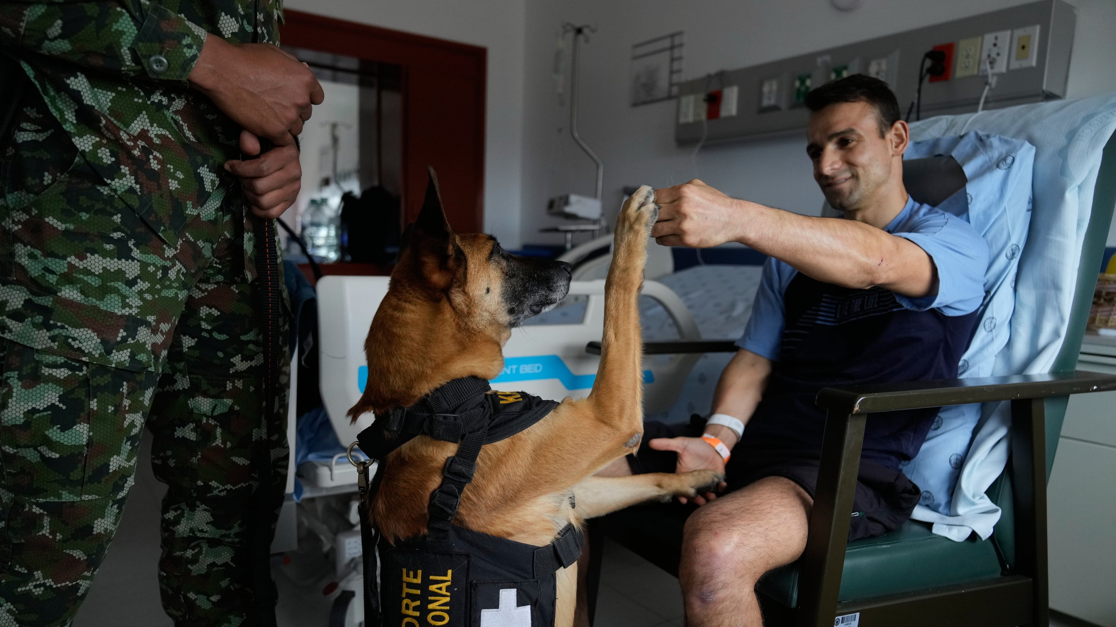 Emotional support dog Kratos salutes wounded Sgt. Jeisson Sanchez at the military hospital in Bogota, Colombia, Thursday, Oct. 2, 2025. (AP Photo/Fernando Vergara)