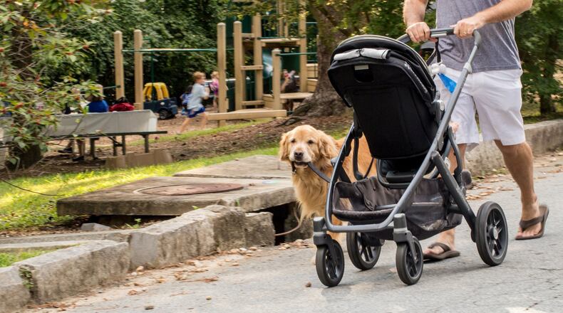 Fletcher carries his leash as he heads home past Orme Park in Virginia-Highland. (Jenni Girtman / Atlanta Event Photography)