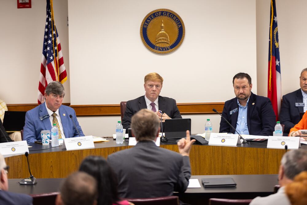 The state Senates Special Committee on Eliminating Georgia's Income Tax met on Tuesday at the Capitol in Atlanta.