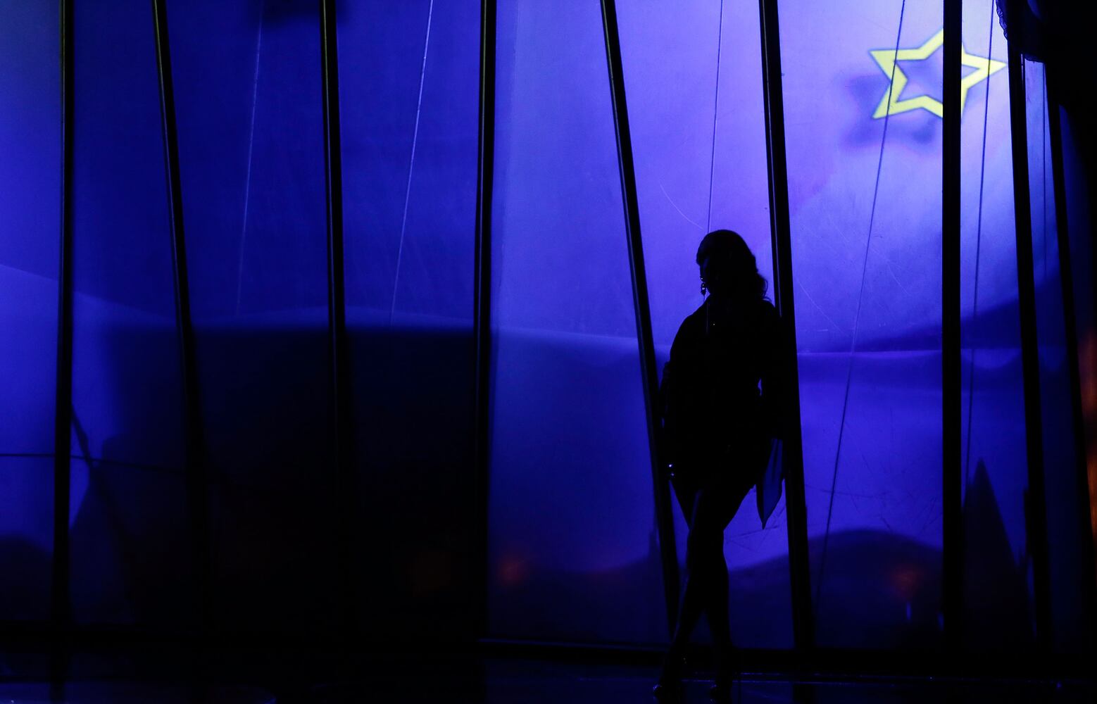 'RHOA' star's 10-show guest engagement in 'Zumanity'
