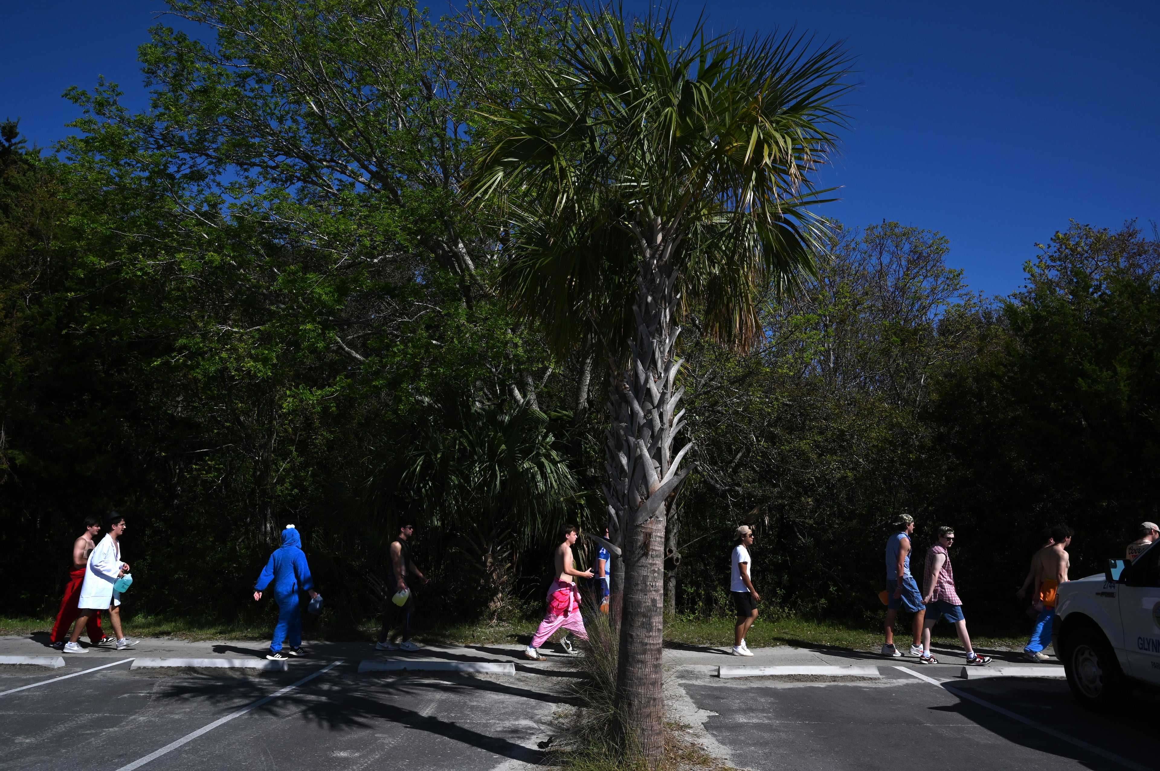 UGA students with Halloween costumes arrive for the annual “Frat Beach” party to celebrate before the annual Georgia-Florida football game on St. Simons Island, Friday, November 1, 2024. On the weekend of the Georgia-Florida football game, St. Simons Island’s East Beach becomes “Frat Beach,” an open-air party teeming with thousands of college students. (Hyosub Shin / AJC)