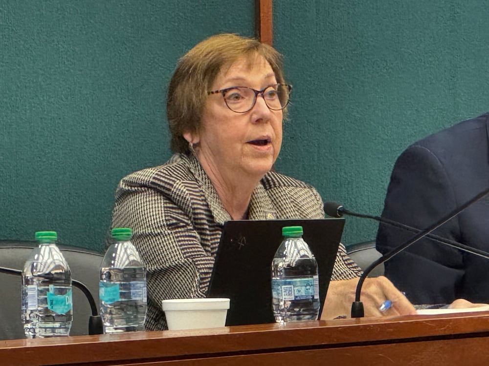 State Sen. Kay Kirkpatrick, R-Marietta, spoke at a legislative committee hearing on Wednesday in Atlanta.