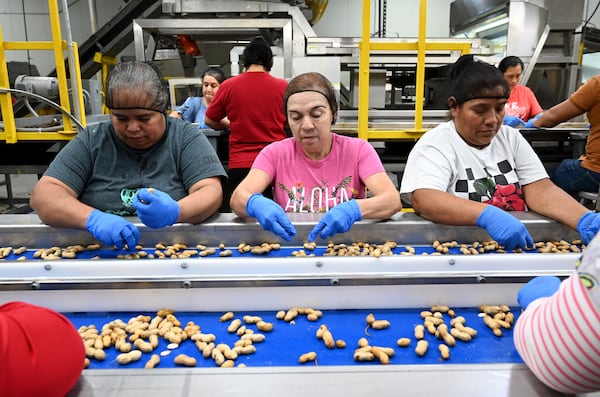 Workers sort through peanuts at Hardy Farms in Hawkinsville. (Hyosub Shin/AJC)