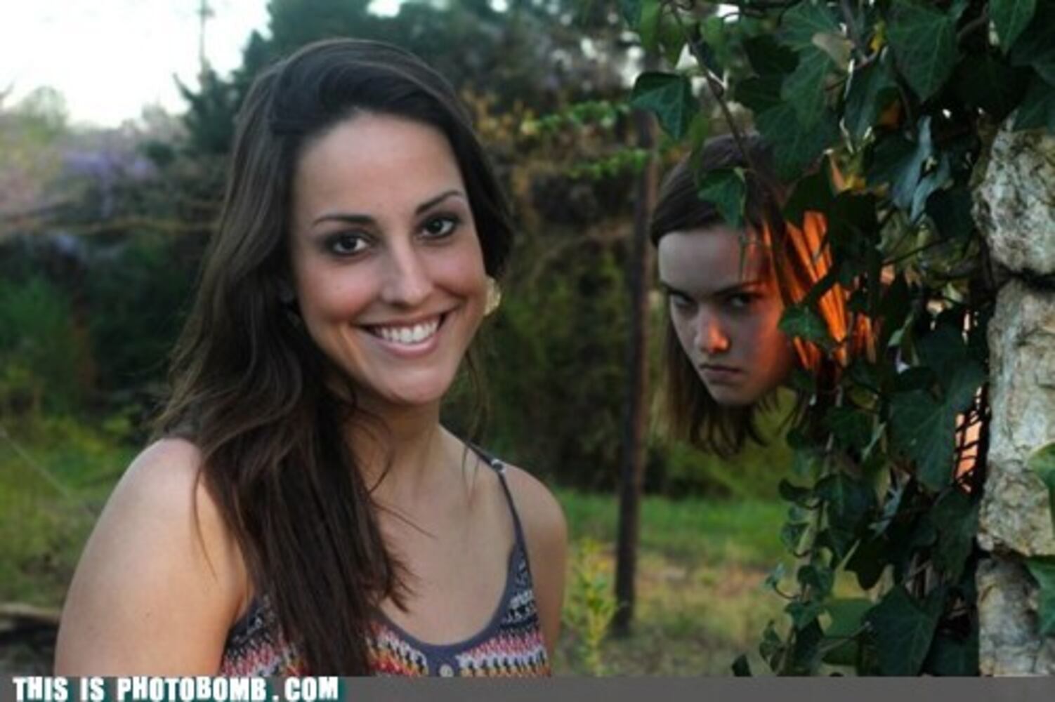 thisisphotobomb.com