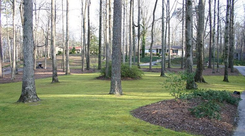 Moss needs only clay soil, shade, and occasional watering to grow well. PHOTO CREDIT: Walter Reeves