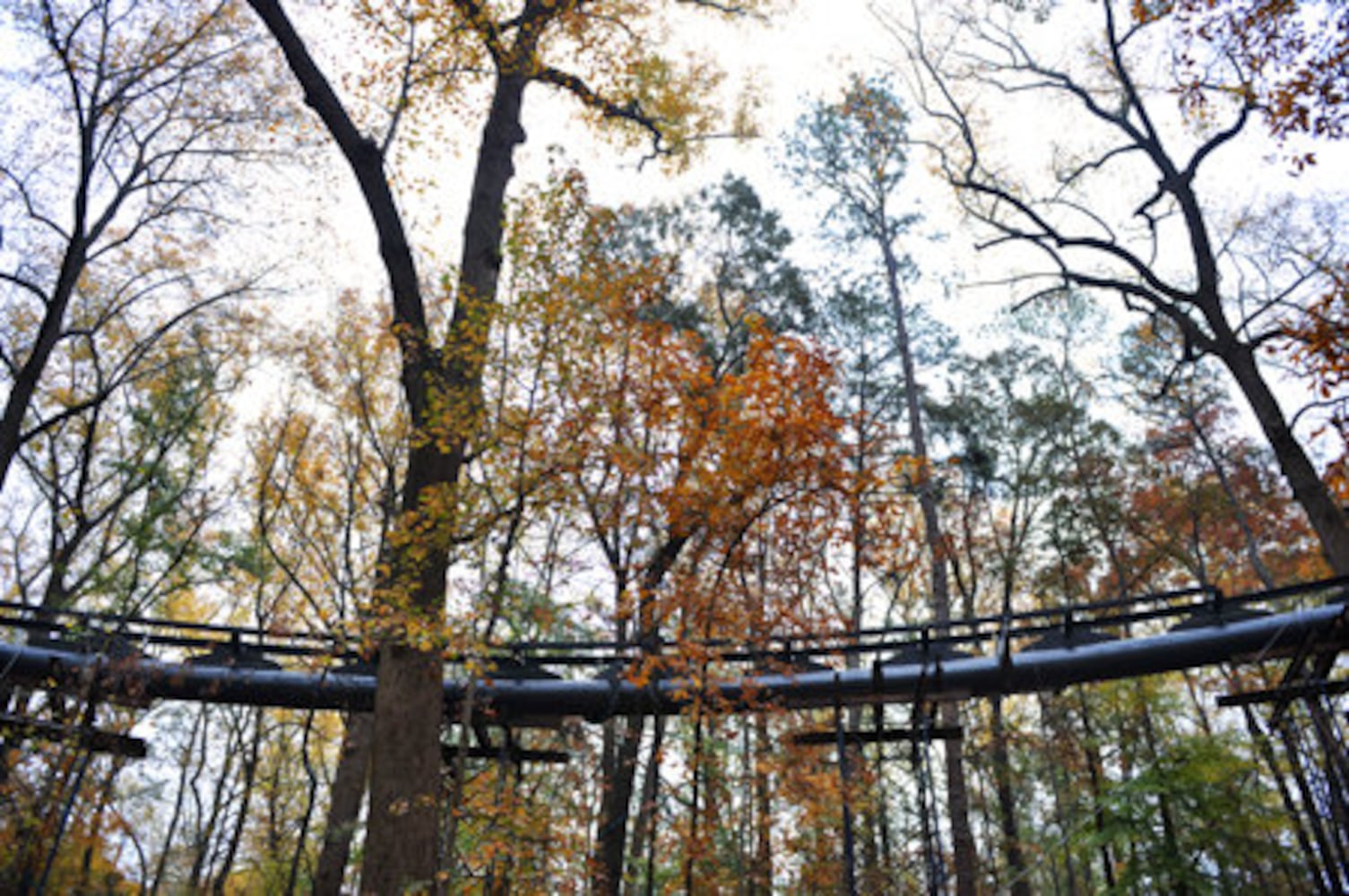 Atlanta Botanical Garden accident