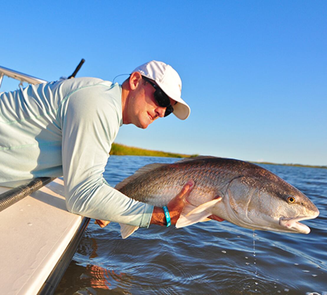 South Carolina's Hammock Coast