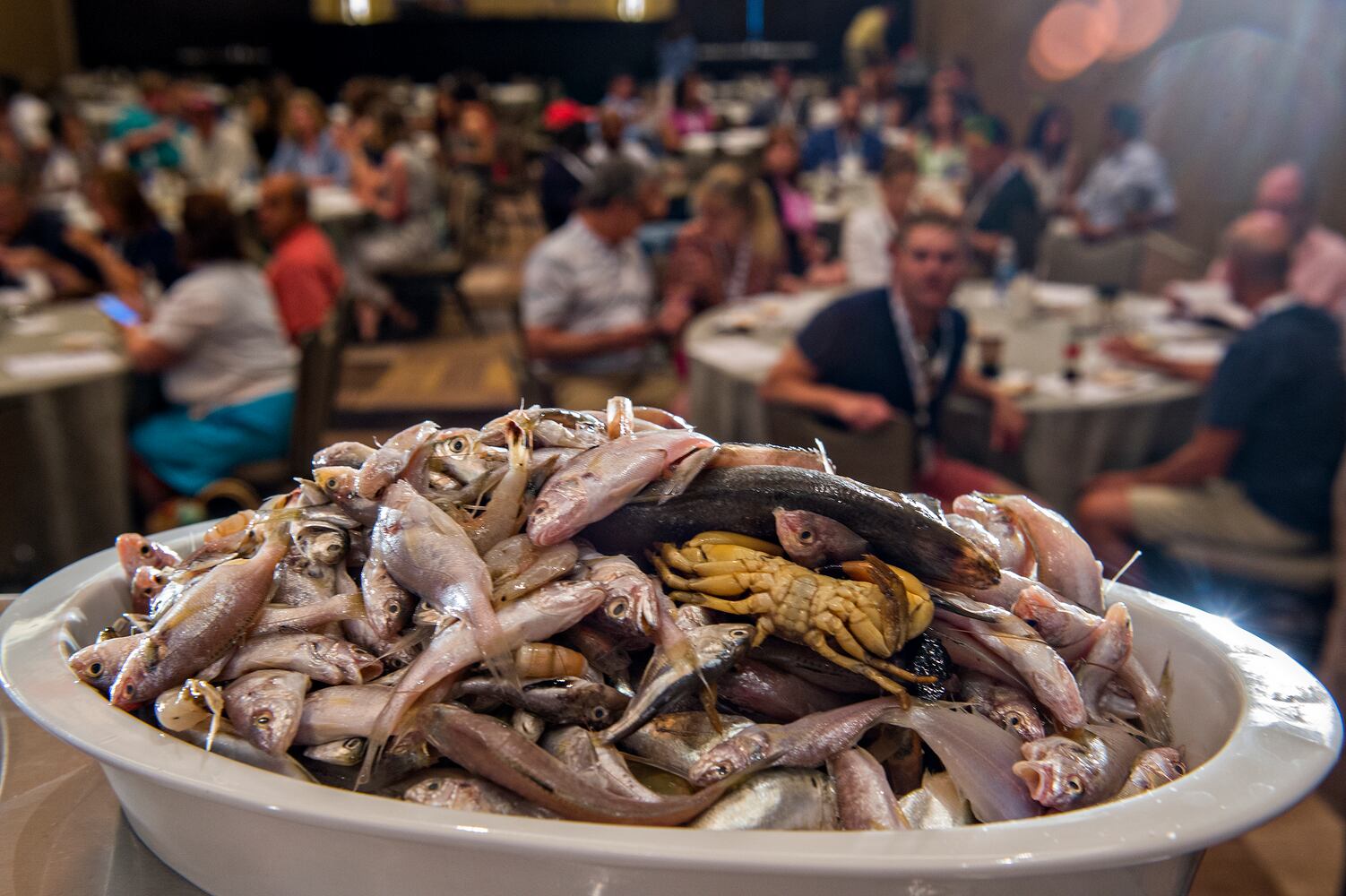 Atlanta Food & Wine Festival 2015