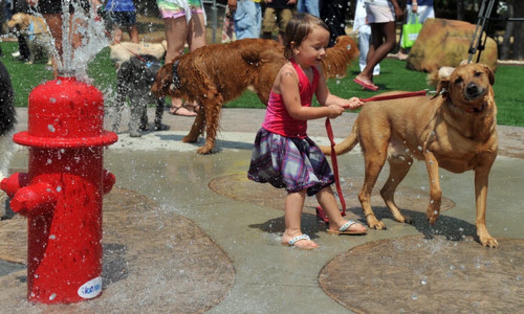 Johns Creek dog park opens