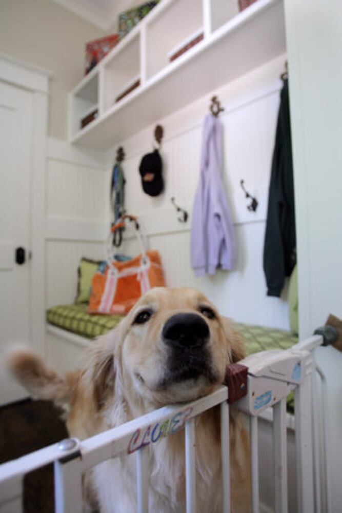 Buckhead home gets an extreme makeover