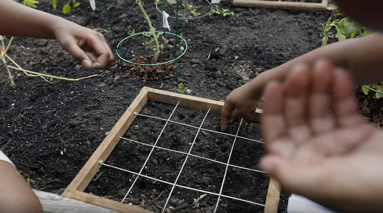 On Aug. 29, from 7 to 8:30 p.m. the city is partnering with its natural resources commission to put on a free Fall Vegetable Gardening Workshop.