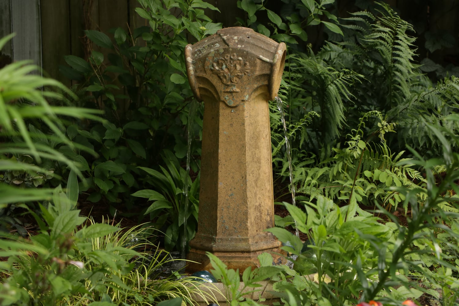 Photos: Best Gardens submitted by AJC readers