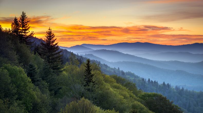 Right now, anyone 62 or older can pay $10 and get a lifetime pass for entrance to all national parks, forests and national monuments.  (Dreamstime)