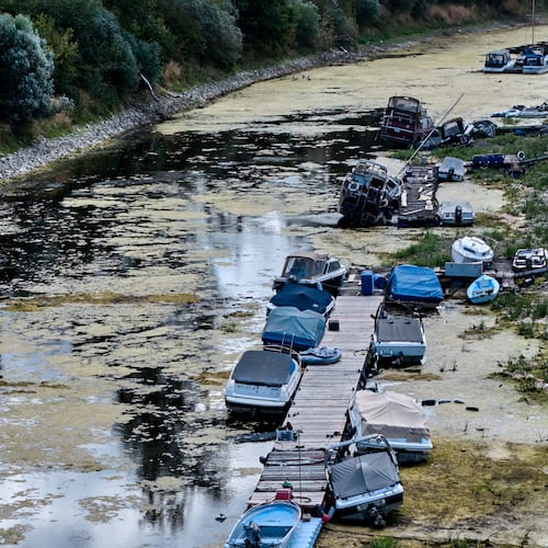 Boats are stranded in a side arm of the river Rhine that is running out of water in Mackenheim near Mainz, Germany Monday, Aug. 10, 2026. (AP Photo/Michael Probst)