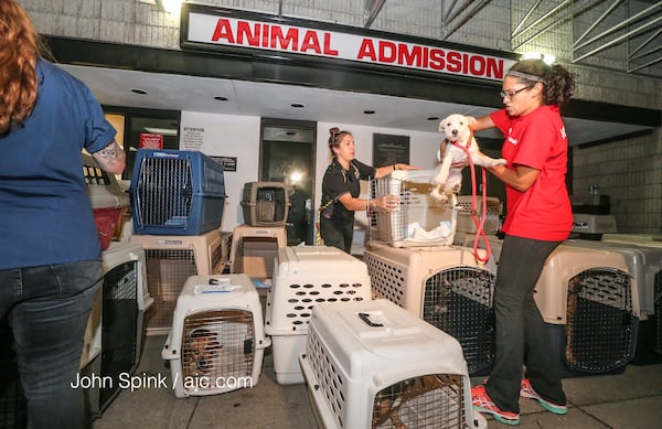 Animals rescued from Houston arrived in Atlanta on Friday. JOHN SPINK / JSPINK@AJC.COM