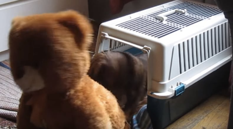 Photo credit: YouTube