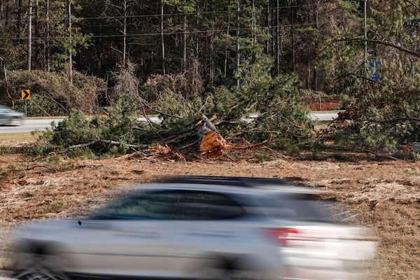 Piles of cut trees are piled along the side of Ga. 400 near Exit 7 in Roswell.
