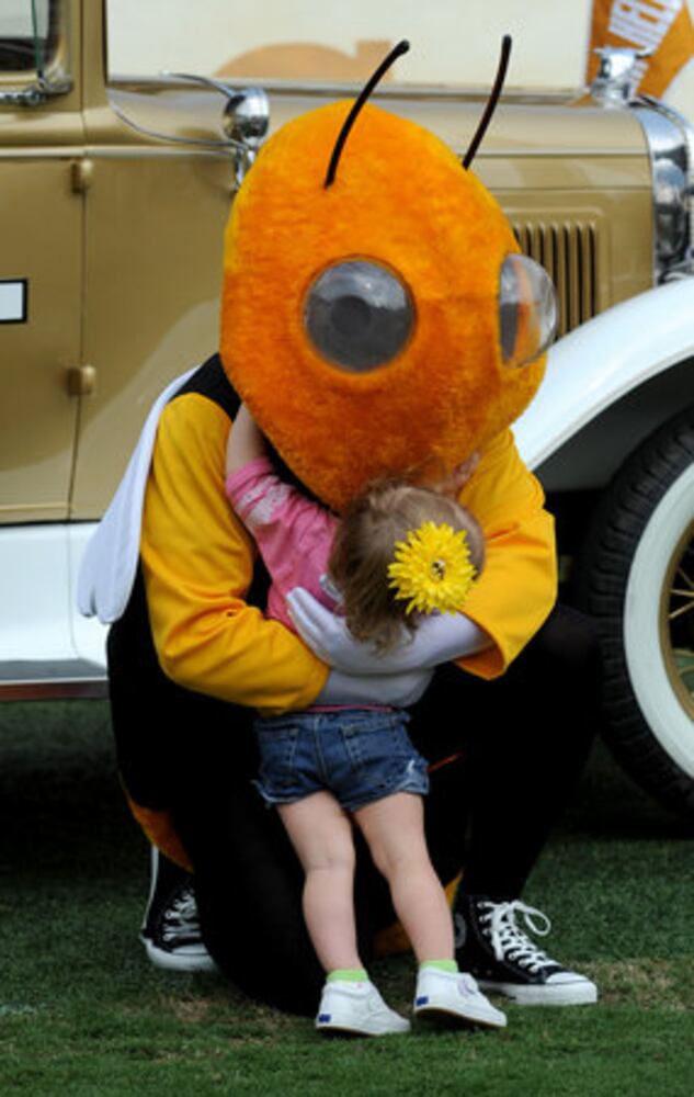 Georgia Tech football fan day
