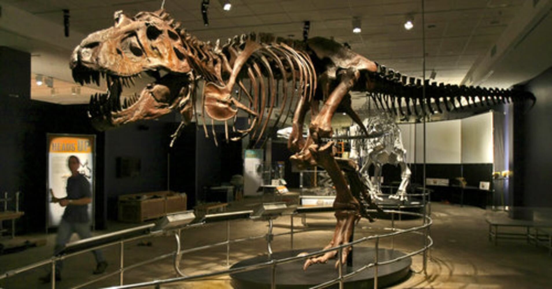 Dinosaur exhibit at Fernbank
