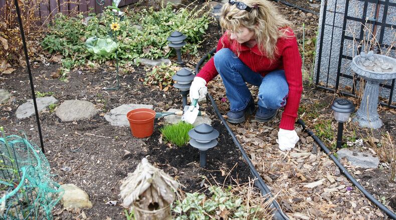 Autumn offers no shortage of opportunities in the garden, from bulb buying and planting, to setting out new shrubs and trees, moving perennials, fretting over newly seeded lawns and otherwise tidying up. (Dreamstime/TNS)