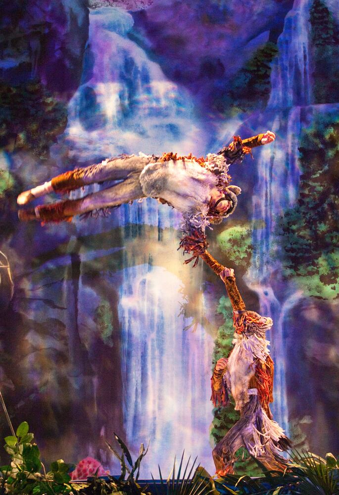 Busch Gardens in Tampa