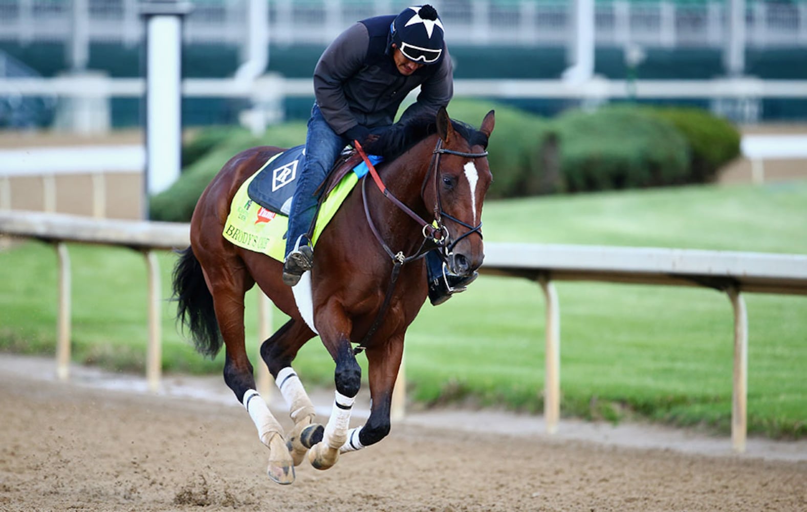 2016 Kentucky Derby field