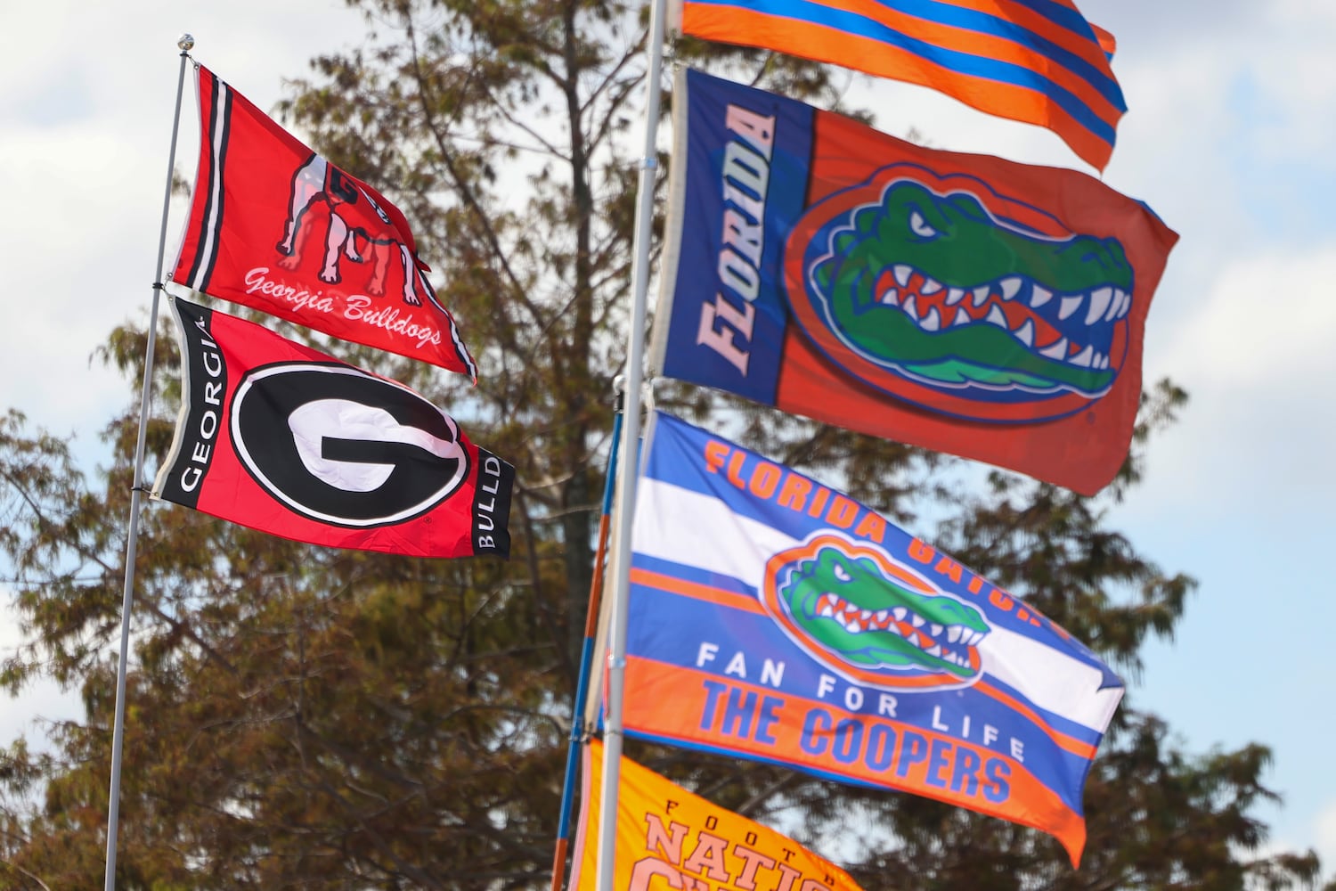 102923 bulldogs photo
