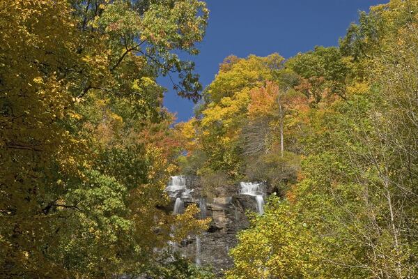 Amicalola Falls State Park is another area with beautiful fall leaves.
Photo: Courtesy of Georgia State Parks & Historic Sites