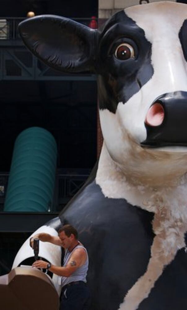Turner Field cow does tomahawk chop!