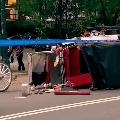 Police investigate the scene after a Central Park carriage horse bolted away from its driver killing a teenager from India on Wednesday, June 17, 2026 in New York. (WABC-TV via AP)