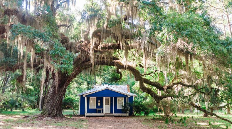 A tree draped in Spanish moss frames a traditional Gullah home on Daufuskie Island. Contributed by Hilton Head Tourism
