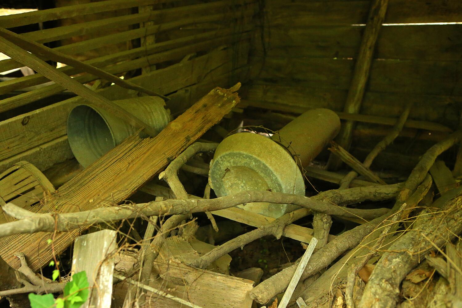 Georgian lived for 116 years