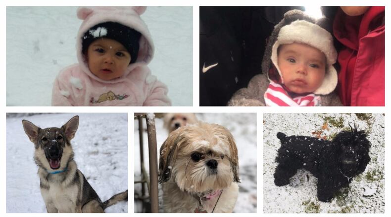 These dogs and babies all saw snow for the first time on Friday, Dec. 8, 2017.