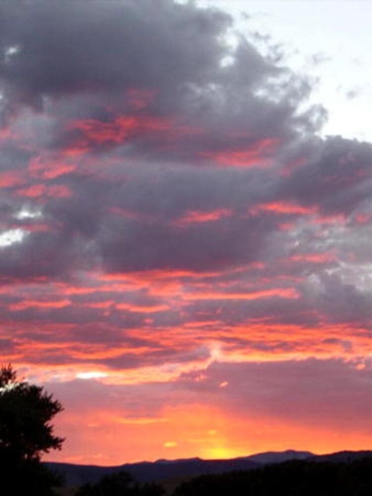 Reader weather photos: Gallery 22