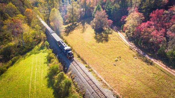 The Blue Ridge Scenic Railway shows off the trees’ splendor as it chugs along the scenic Toccoa River and into the Chattahoochee National Forest. Contributed by Blue Ridge Scenic Railway.