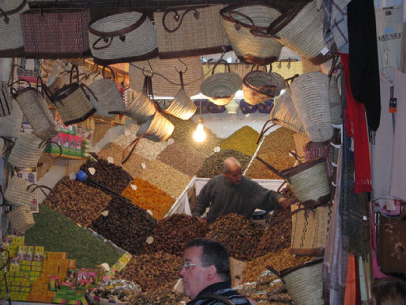 Traveling Morocco, by camel and mule