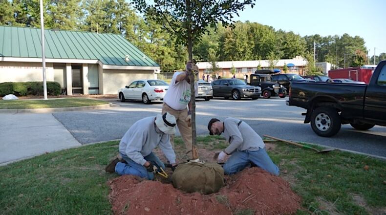 Marietta Tree Keepers have planted over 5,500 trees around the city. MTK