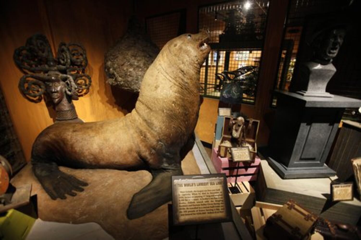 Ripley's Believe It or Not! Odditorium