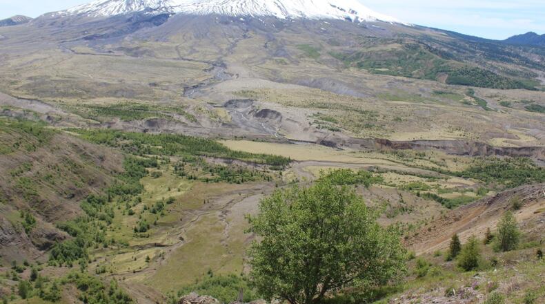 “While visiting our daughter in Seattle, we took the three-hour ride south to visit Mount St. Helens,” wrote Janet Melville of Cumming. “The volcano erupted 19 years ago and signs of regrowth are evident all around the mountainside. An unbelievable sight to see.”