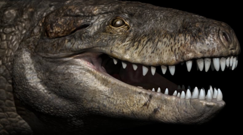 A reconstructive likeness of what scientists believe the head of Razanandrongobe sakalavae would have looked like. Unlike extant crocodilians, this terrestrial predator had a deep skull and walked upright.