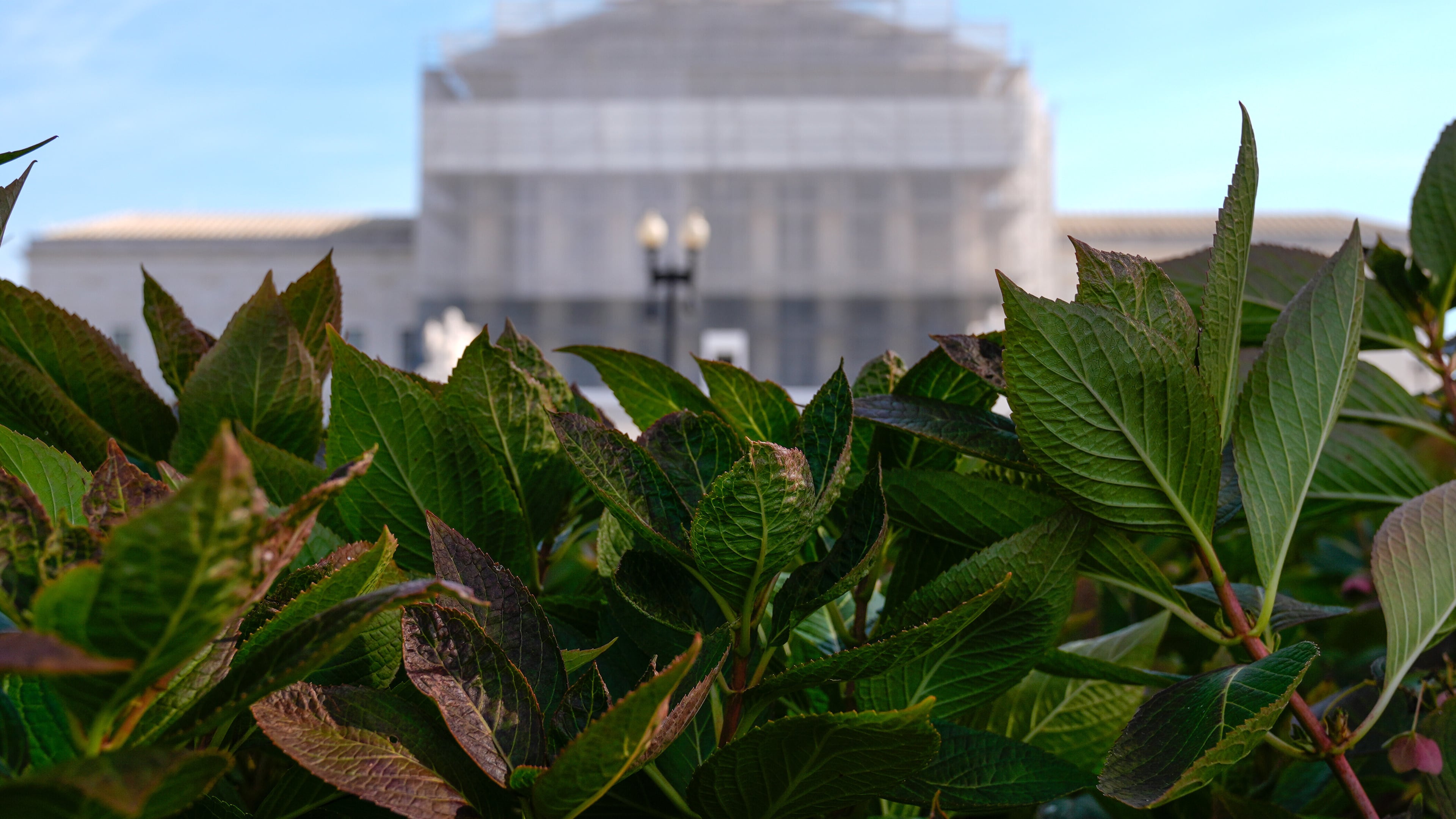The U.S. Supreme Court is seen on Capitol Hill, Friday, Nov. 7, 2025, in Washington. (AP Photo/Mariam Zuhaib)
