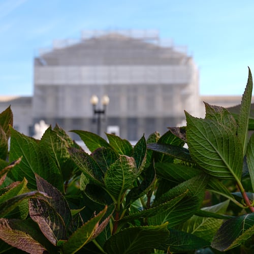 The U.S. Supreme Court is seen on Capitol Hill, Friday, Nov. 7, 2025, in Washington. (AP Photo/Mariam Zuhaib)